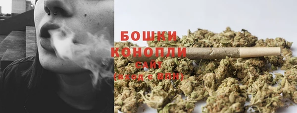 прущие грибы Зеленокумск