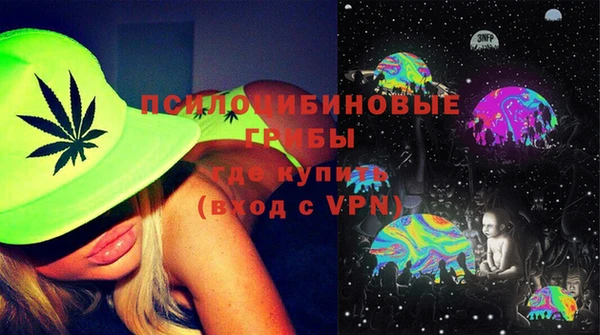 spice Гусь-Хрустальный