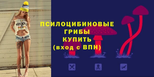 spice Гусь-Хрустальный