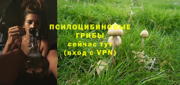 мет Гусиноозёрск