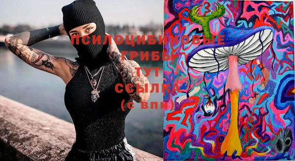 мет Гусиноозёрск