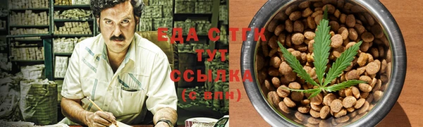 spice Гусев
