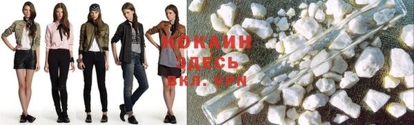 spice Гусев