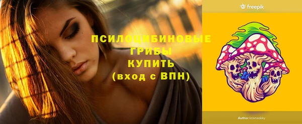 spice Гусь-Хрустальный