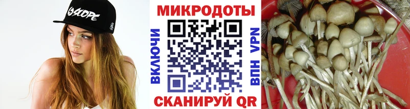 Псилоцибиновые грибы мицелий  Раменское 