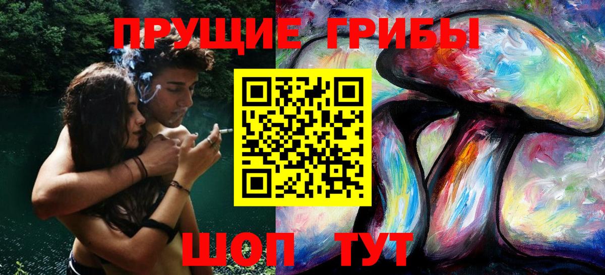 Галлюциногенные грибы Psilocybe  Раменское 