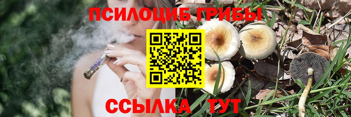 где купить наркоту  Галлюциногенные грибы прущие грибы  Галлюциногенные грибы Psilocybe  Вход с VPN  Раменское 