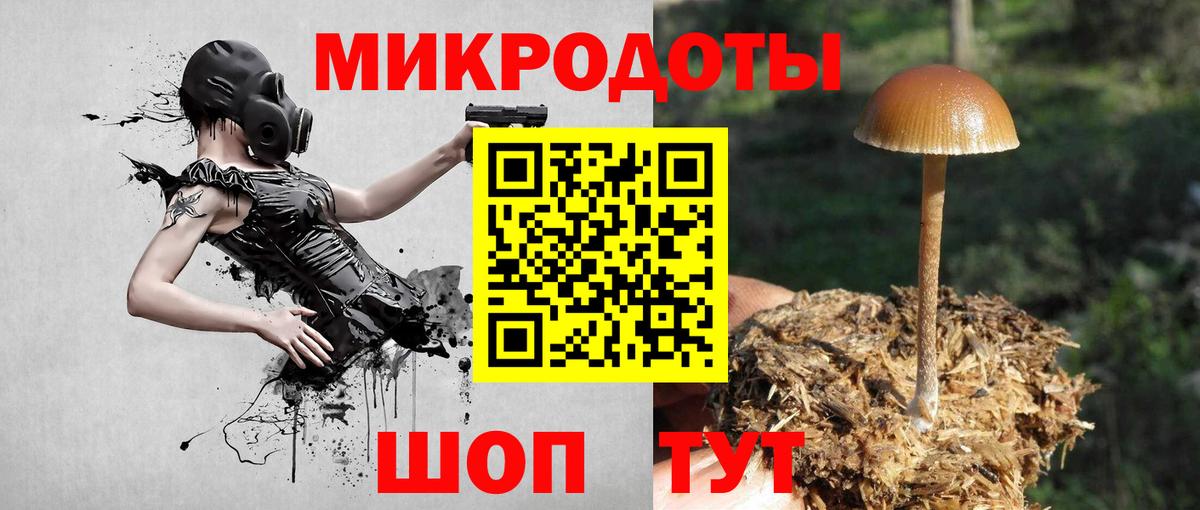 Псилоцибиновые грибы прущие грибы Раменское